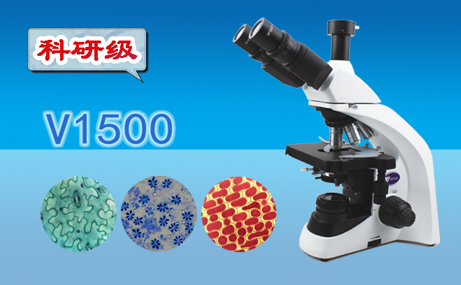 生命科学草莓视频黄片污的光学性能