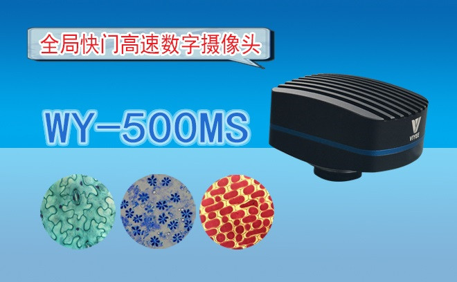 生命科学草莓视频黄片污的观察方式