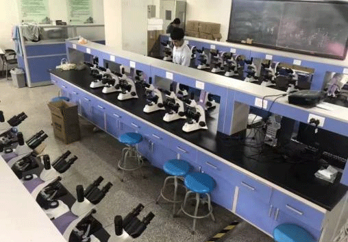 生物草莓视频黄片污.png