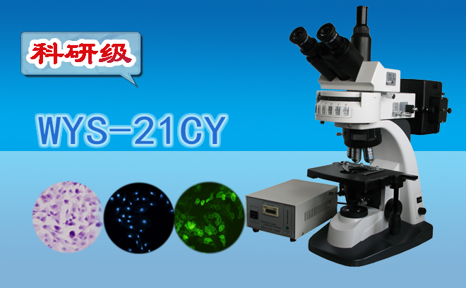 荧光草莓视频黄片污技术包括哪几种？