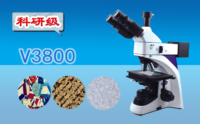 1665379072788374.png 金相草莓视频黄片污.png