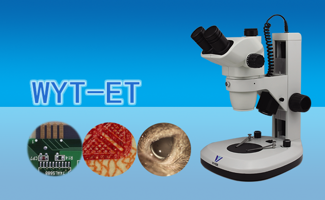 1668048072205209.png 体视草莓视频黄片污.png