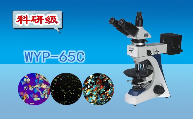 偏光草莓视频黄片污.jpg