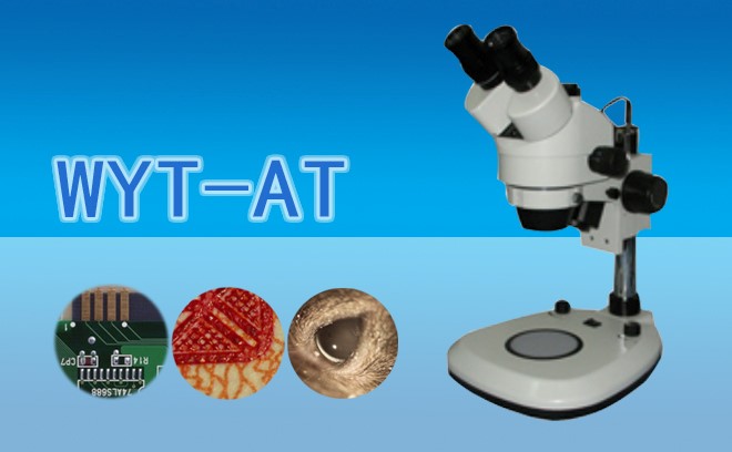 体视草莓视频黄片污的样品如何制作